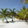 Лучшие пляжи на Мальдивах. Пляжный отдых